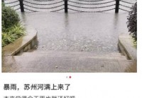 上海市民注意：暴雨将继续，只要熬过今天就好！“苏州河满上来了？”官方最新回应→