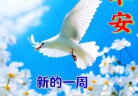 2024年7月4日最新早上好祝福语图片大全 精选早安问候祝福图片带字