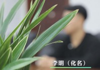 陕西一高中生短短3天，银行流水竟超百万元……