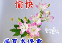 2024年7月13日最新早上好祝福语图片大全 精选早安问候祝福图片带字