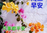 2024年7月23日最新早上好祝福语图片大全 精选早安问候祝福图片带字