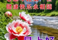 2024年6月11日最新早上好祝福语图片大全 精选早安问候祝福图片带字