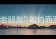 进博会｜开放·合作·共享