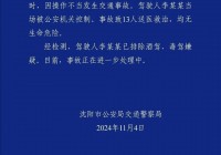 沈阳小河沿早市交通事故致13人送医 原因系操作不当