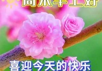 2024年7月14日最新早上好祝福语图片大全 精选早安问候祝福图片带字