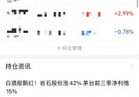 丈母娘资助100万，95后小伙炒股一月狂赚112万