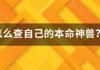 怎么查自己的本命神兽？