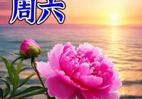 2024年7月27日最新早上好祝福语图片大全 精选早安问候祝福图片带字