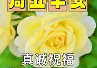 2024年7月19日最新早上好祝福语图片大全 精选早安问候祝福图片带字