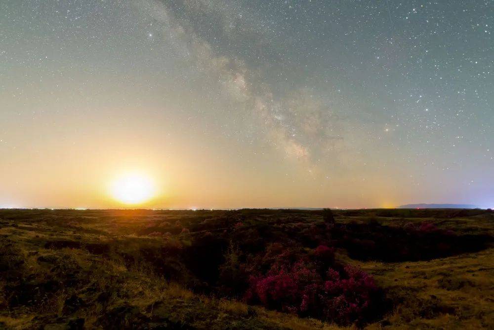 花语星空：一场星与花的对话