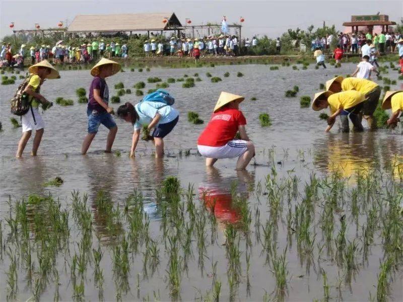 2024爱沈阳“春天花正开 乡约新场景”，送您10种春日的诗意与浪漫！