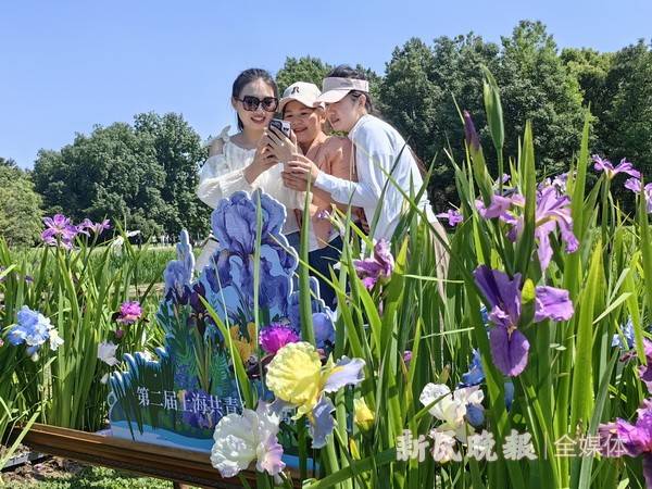 鸢尾花开五月天 共青森林公园鸢尾花文化节开幕