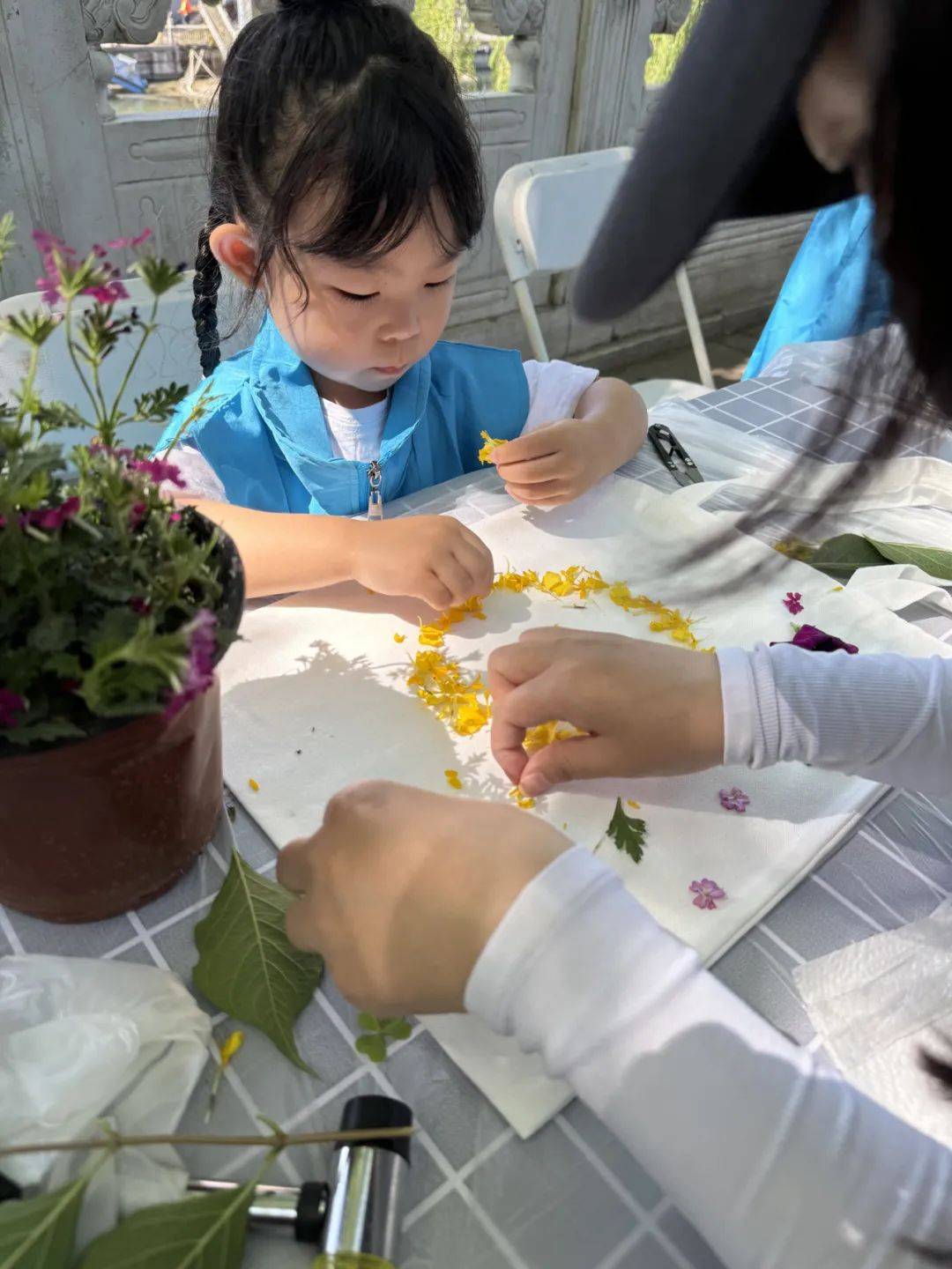 家门口的自然课|“茶香”玉蜓园艺驿站特色活动——六月花语茶香、绿色栽培系列课程