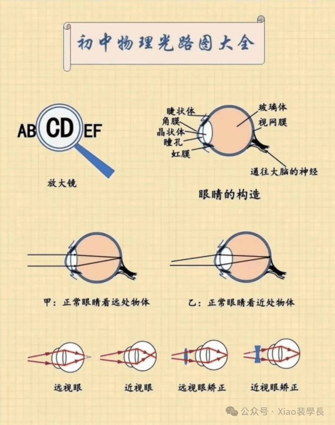 【物理图片】初中物理光路图大全