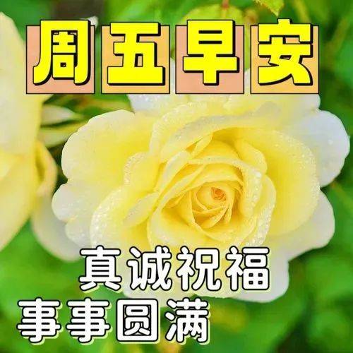 2024年7月19日最新早上好祝福语图片大全 精选早安问候祝福图片带字