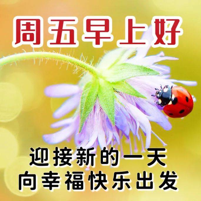 2024年6月28日最新早上好祝福语图片大全 精选早安问候祝福图片带字