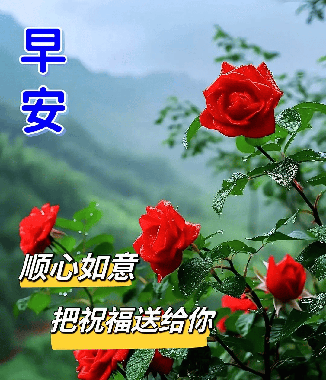 2024年7月20日最新早上好祝福语图片大全 精选早安问候祝福图片带字