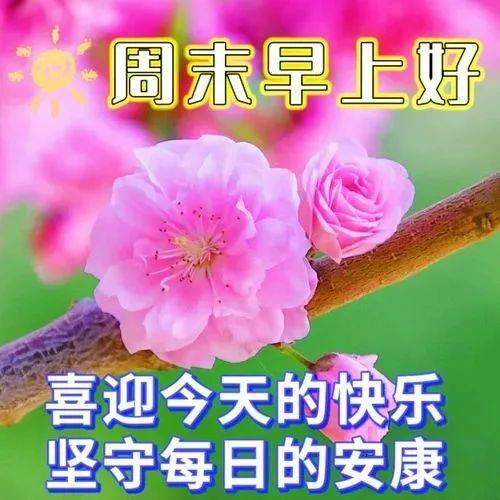 2024年7月14日最新早上好祝福语图片大全 精选早安问候祝福图片带字