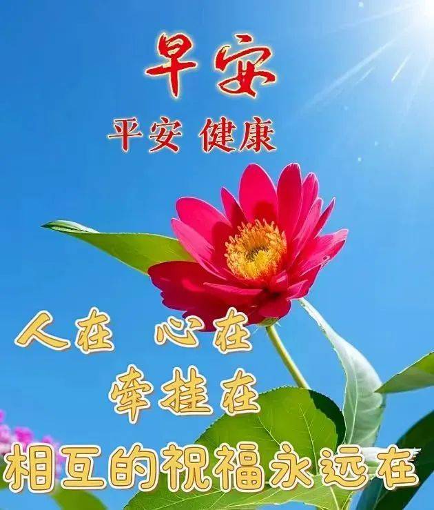 2024年6月7日最新早上好祝福语图片大全 精选早安问候祝福图片带字