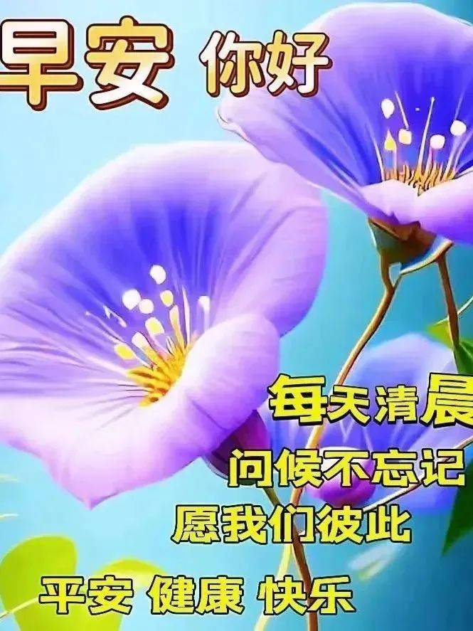 2024年6月29日最新早上好祝福语图片大全 精选早安问候祝福图片带字