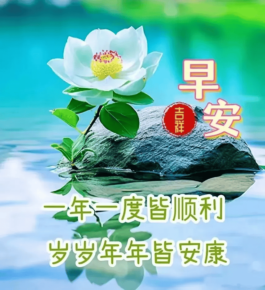 2024年6月11日最新早上好祝福语图片大全 精选早安问候祝福图片带字