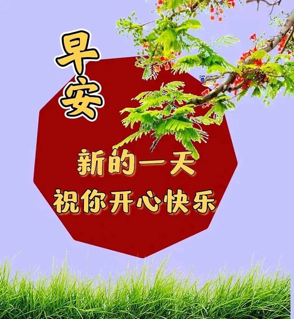 2024年5月28日最新早上好祝福语图片大全 精选早安问候祝福图片带字