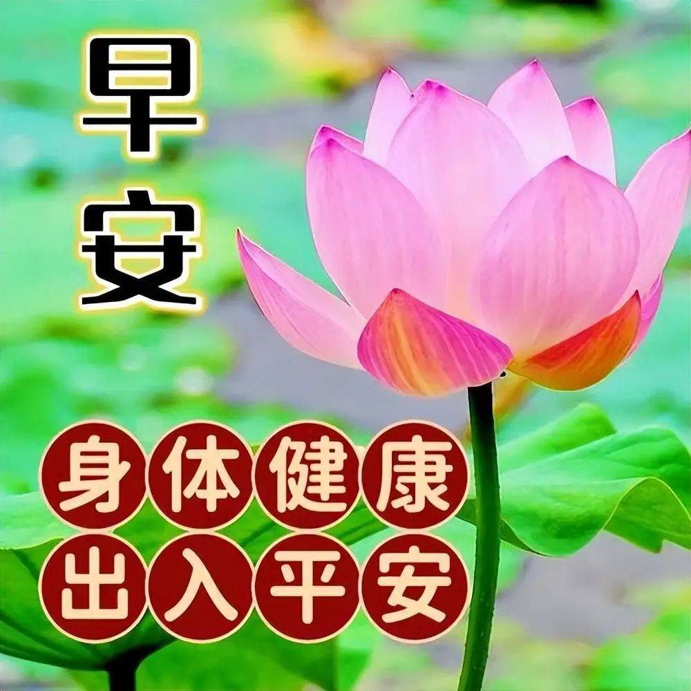 2024年7月5日最新早上好祝福语图片大全 精选早安问候祝福图片带字