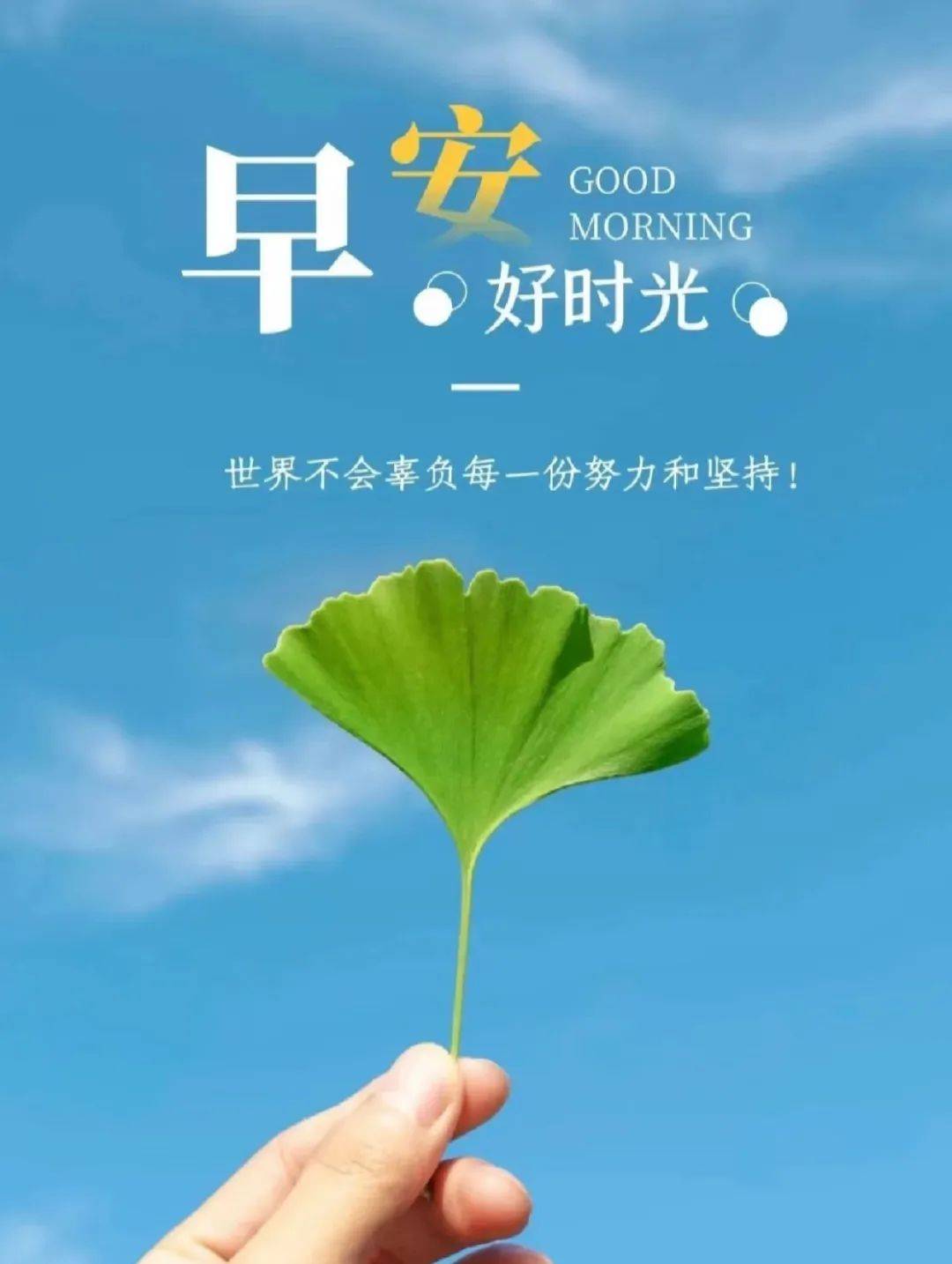 9月20日早安语录正能量句子！新的一天，新的开始！岁月静好，花开满城