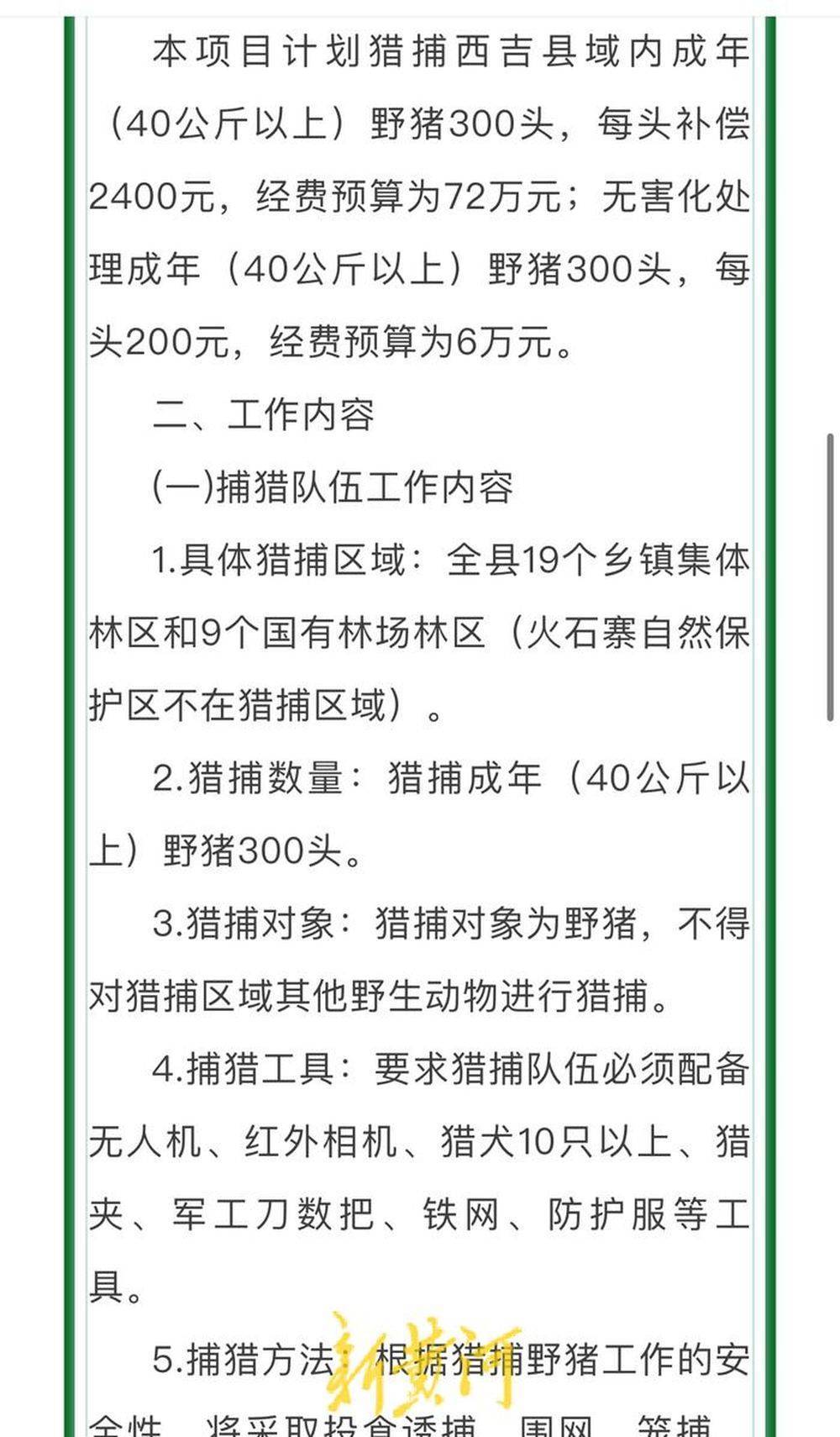 宁夏西吉抓一头野猪奖励2400元背后：有团队十几个人40多条猎狗，仅捕获一头