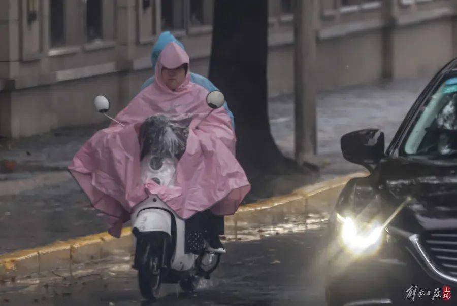 上海市民注意：暴雨将继续，只要熬过今天就好！“苏州河满上来了？”官方最新回应→