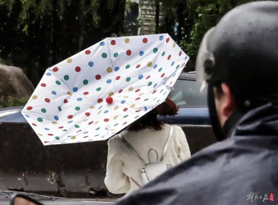 上海市民注意：暴雨将继续，只要熬过今天就好！“苏州河满上来了？”官方最新回应→