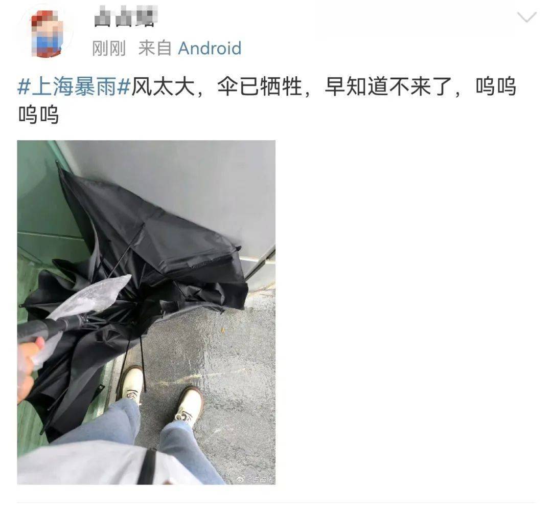 上海市民注意：暴雨将继续，只要熬过今天就好！“苏州河满上来了？”官方最新回应→