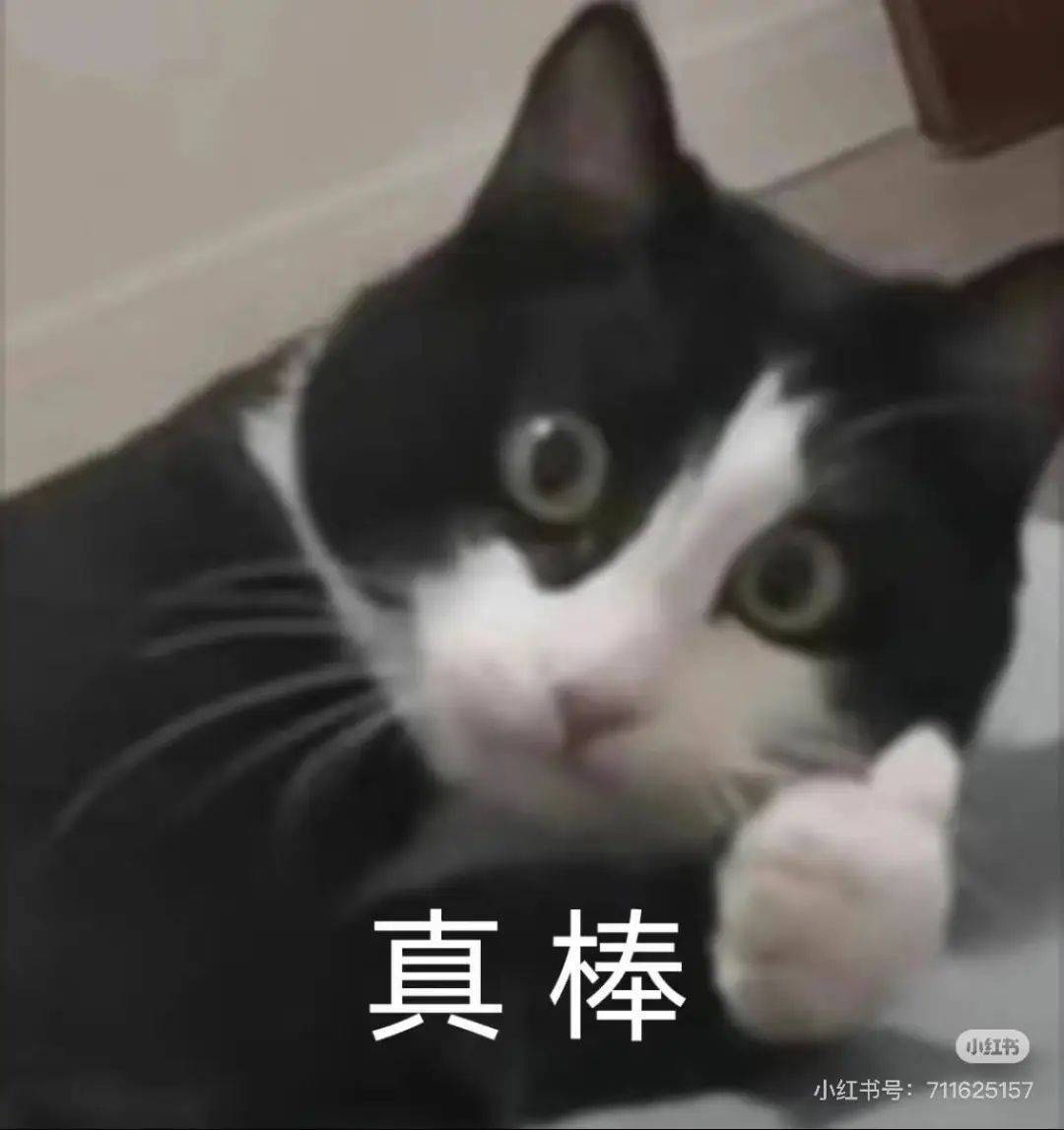 断崖式暴跌！这波太猛！杭州人挺住了